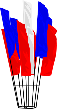 Флаги расцвечивания